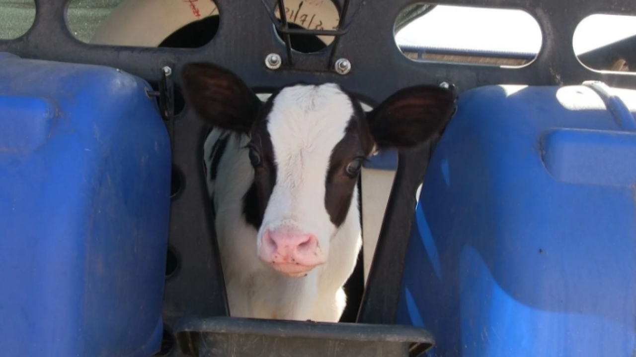 Foto - O kentte kırmızı alarm! 40 gün süreyle karantinaya alındı