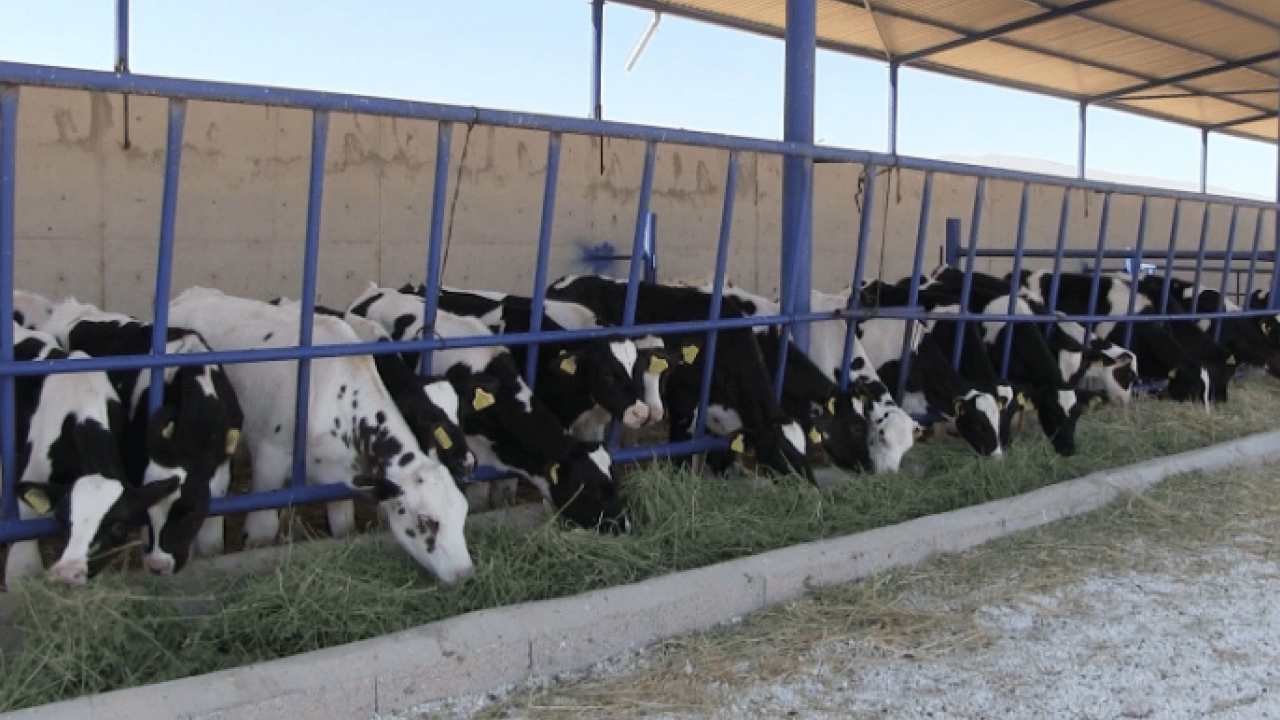 O kentte kırmızı alarm! 40 gün süreyle karantinaya alındı