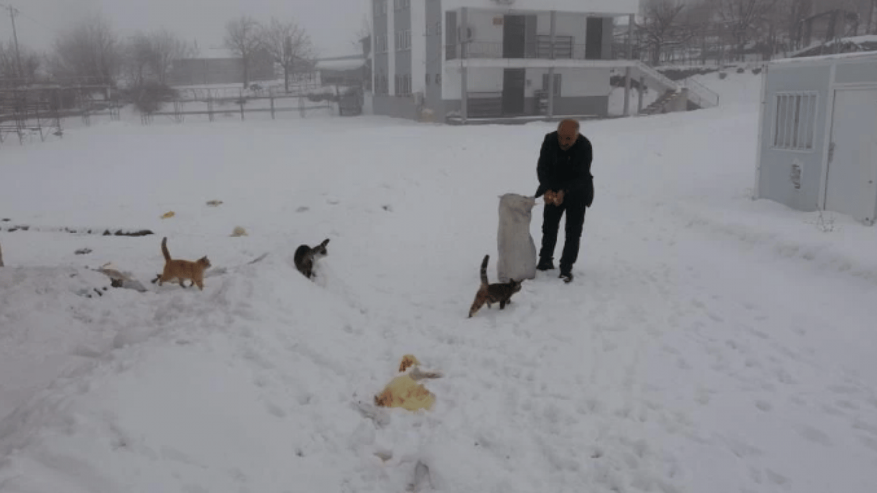 Foto - O köyde sadece muhtar ve ailesi yaşıyor