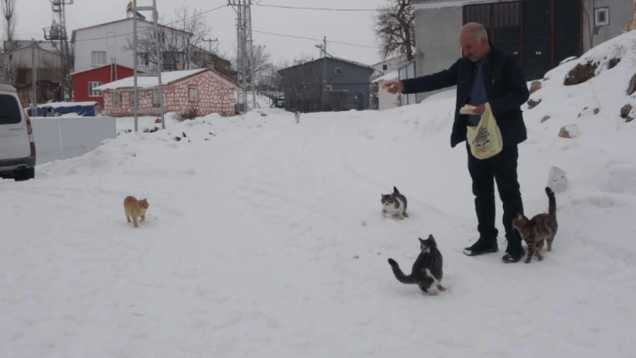 O köyde sadece muhtar ve ailesi yaşıyor