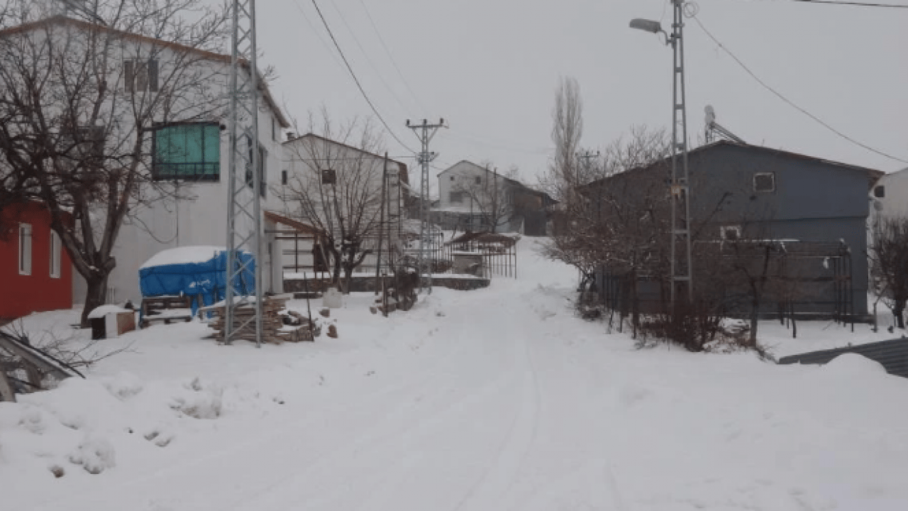 Foto - O köyde sadece muhtar ve ailesi yaşıyor