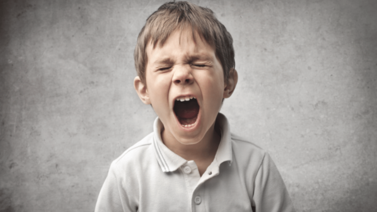 Foto - O Krizlerin Nedeni Şımarıklık Değil "Kısa Devre!" uzmanlar uyardı: "o an çocuğunuz sizi duyamaz"