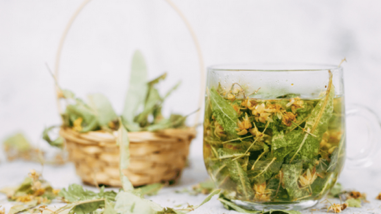 Foto - Şifa saçıyor! Ihlamur tüketmeyen pişman olur: Doğal antibiyotik kimse bu etkilerini bilmiyor