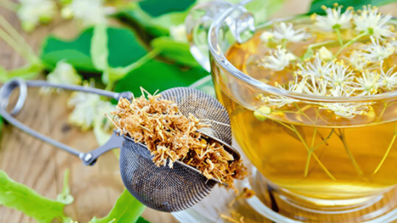 Foto - Şifa saçıyor! Ihlamur tüketmeyen pişman olur: Doğal antibiyotik kimse bu etkilerini bilmiyor