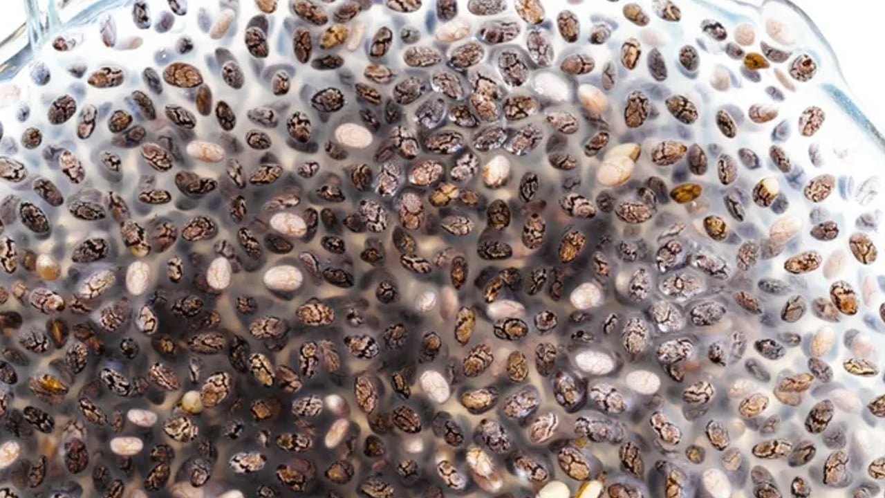 Foto - O mucize besin tam bir gençlik ve şifa iksiriymiş! Yaşlanmayla savaşıp hücreleri tek tek yok edip uyandırıyor! 