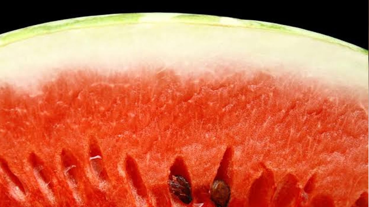 Foto - O şifalı kısmını çöpe atıyormuşuz: Katbekat daha kadar değerli... Ezber bozan bir gerçek ortaya çıktı