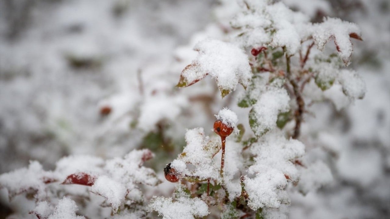 Foto - O tarih yaklaştı! Uzman uyardı, hazırlıksız yakalanmayın! Yoğun kar kapıda!