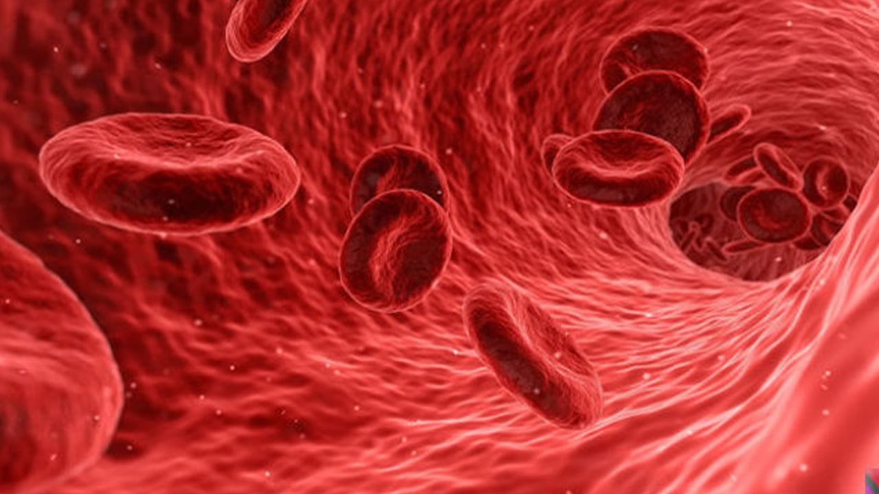 Foto - Kan şekerini fırlatıyor, Kalbinizin düşmanı baş ucunuzda: Adeta düşman! Tavsiye verildi... Araştırma ortaya koydu