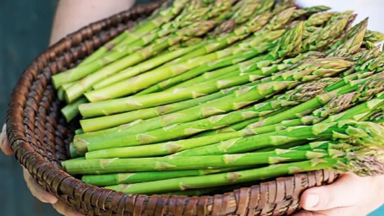 Foto - Günlük sofraların asil sebzesi: Kalp ve damarın kurtarıcısı! 