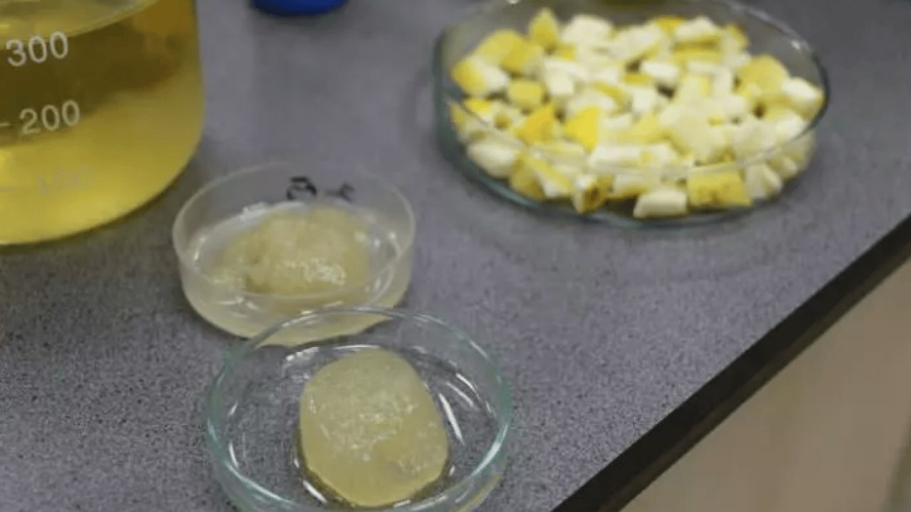 Öğrencilerden inanılmaz buluş: Bunu ağaç kavunu kabuğuyla ürettiler!