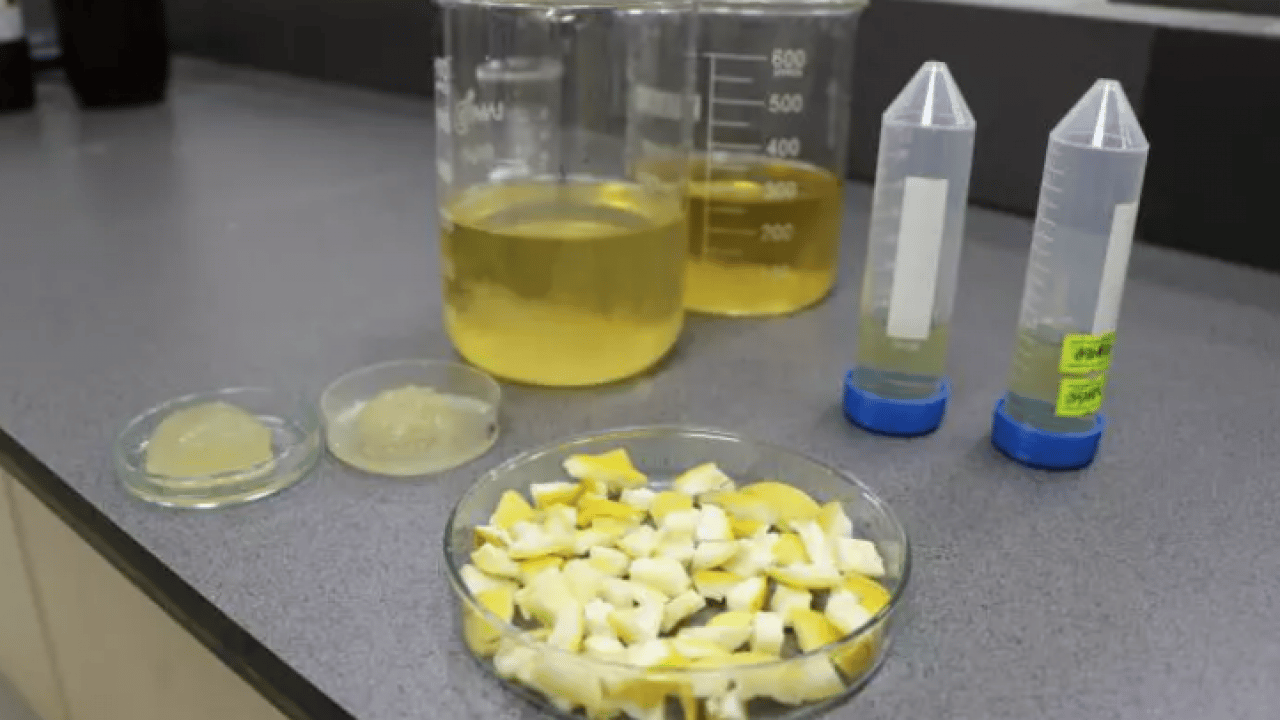 Foto - Öğrencilerden inanılmaz buluş: Bunu ağaç kavunu kabuğuyla ürettiler!