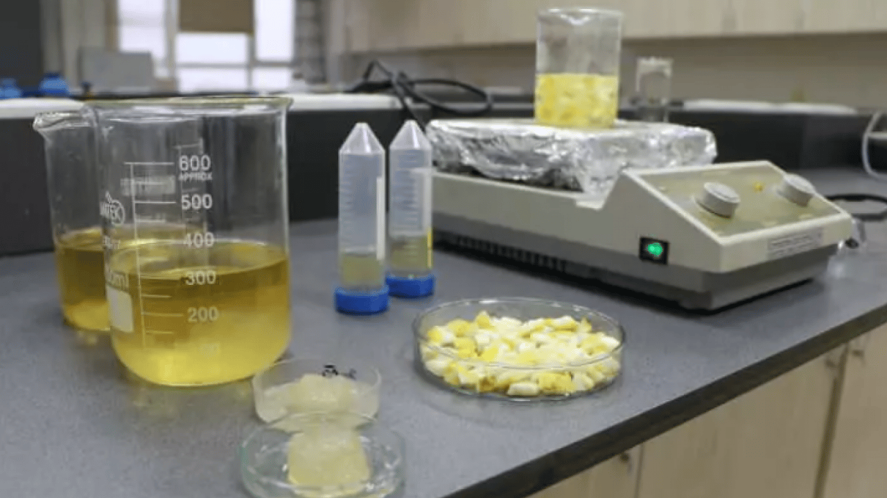 Foto - Öğrencilerden inanılmaz buluş: Bunu ağaç kavunu kabuğuyla ürettiler!