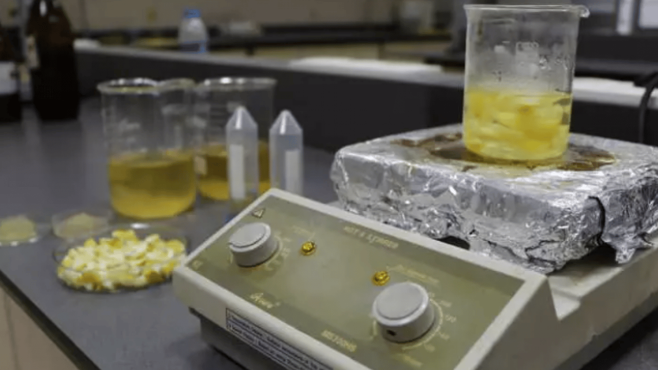 Foto - Öğrencilerden inanılmaz buluş: Bunu ağaç kavunu kabuğuyla ürettiler!