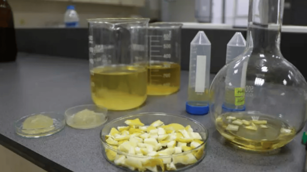 Foto - Öğrencilerden inanılmaz buluş: Bunu ağaç kavunu kabuğuyla ürettiler!