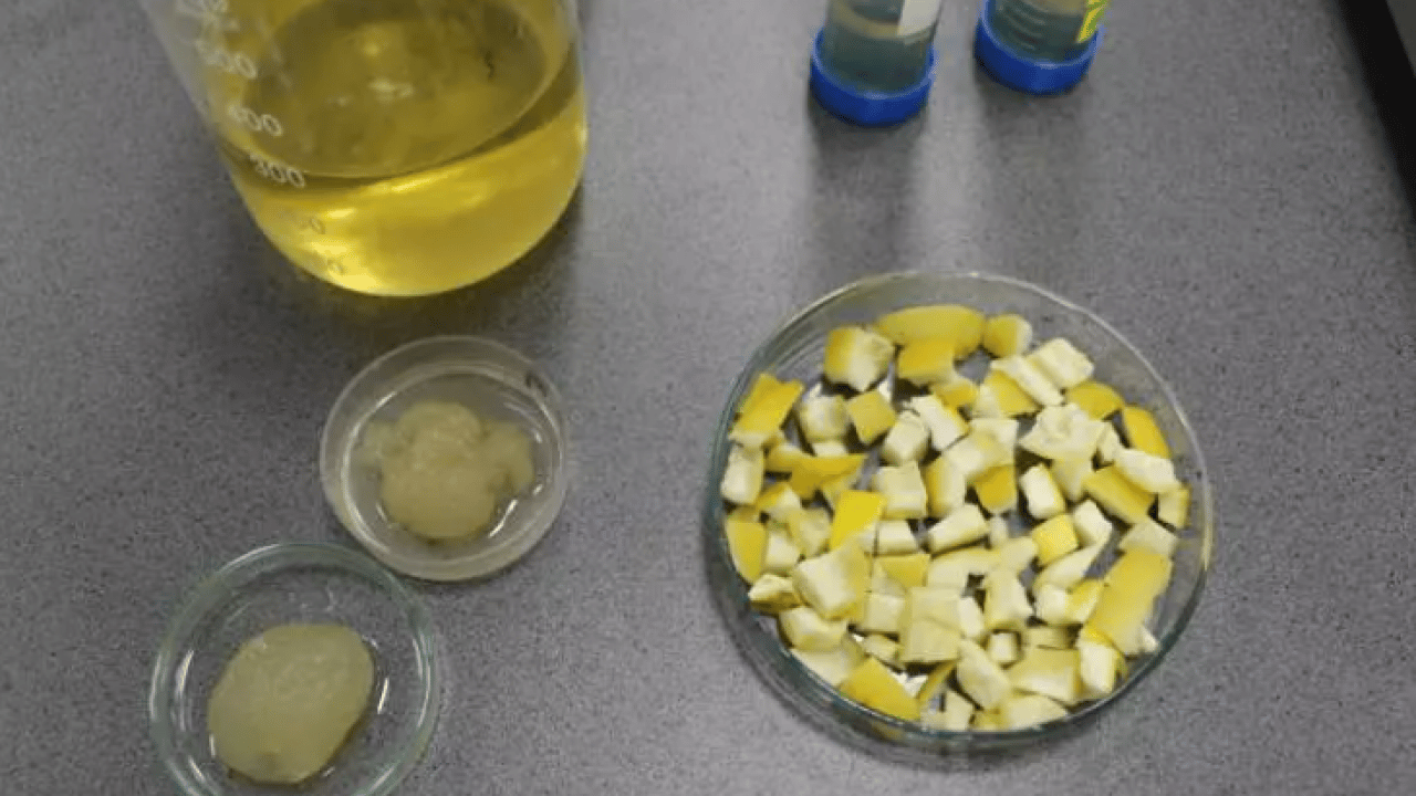 Foto - Öğrencilerden inanılmaz buluş: Bunu ağaç kavunu kabuğuyla ürettiler!