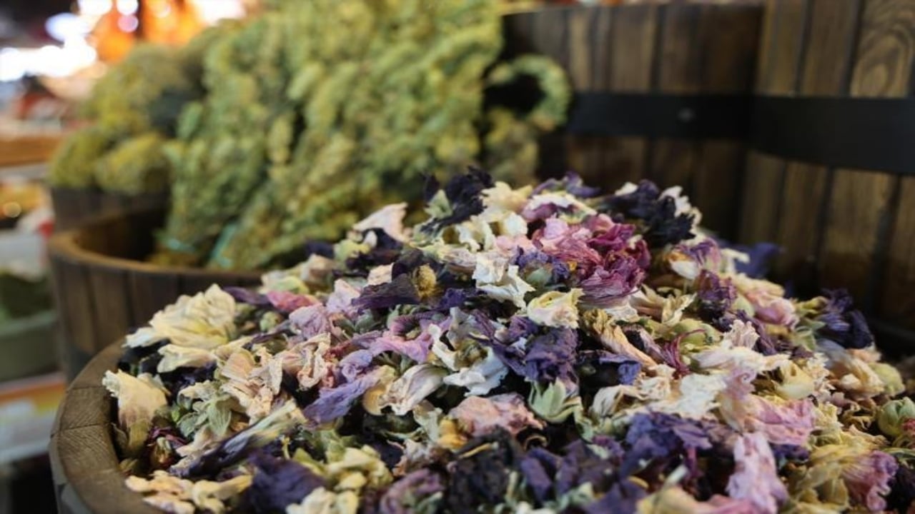 Foto - Öksürük, balgam ve hırıltının kökünü kurutuyor! İşte 43 yıllık aktardan bağışıklığı uçuran şifa karışımı