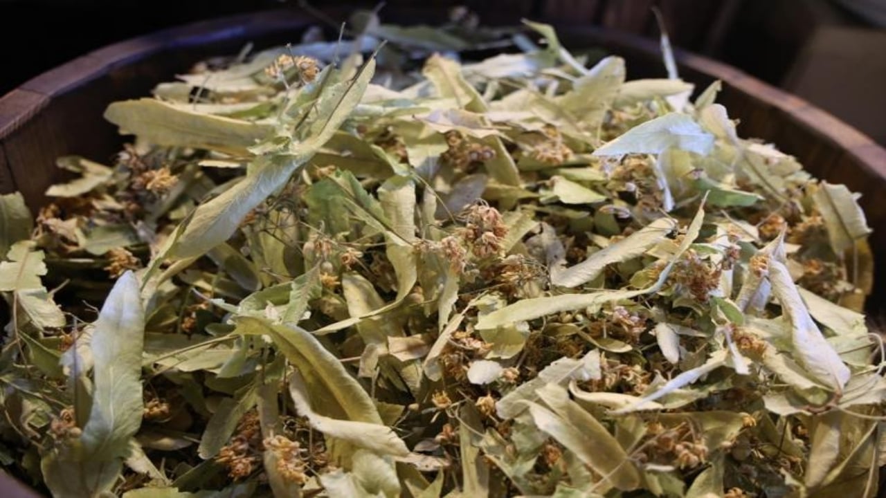 Foto - Öksürük, balgam ve hırıltının kökünü kurutuyor! İşte 43 yıllık aktardan bağışıklığı uçuran şifa karışımı