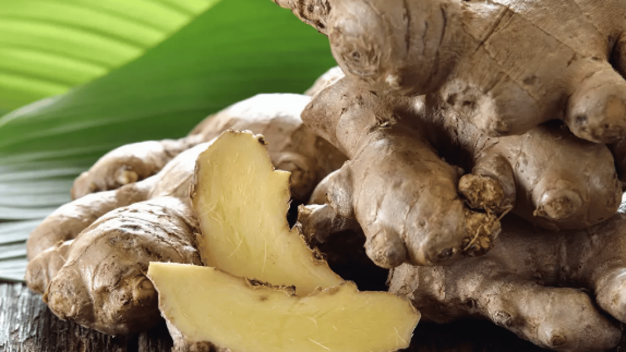 Foto - Öksürük krizlerine son verin: Akciğerleri cam gibi parlatıyor: Müthiş bir şifa deposu...