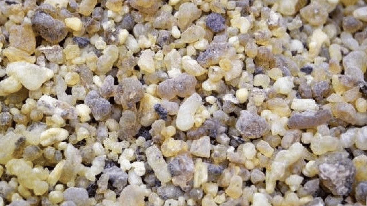 Öksürük şuruplarını atın gitsin: Bu reçine solunumu tamamen onarıyor! Antik çağların mirası...