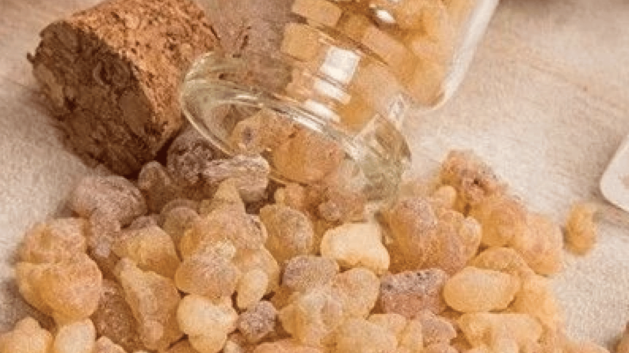 Foto - Öksürük şuruplarını atın gitsin: Bu reçine solunumu tamamen onarıyor! Antik çağların mirası...