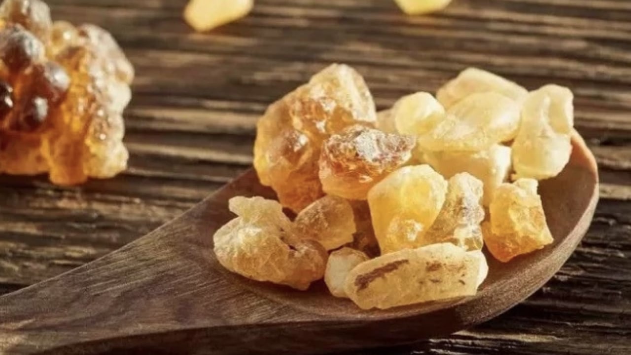 Foto - Öksürük şuruplarını atın gitsin: Bu reçine solunumu tamamen onarıyor! Antik çağların mirası...