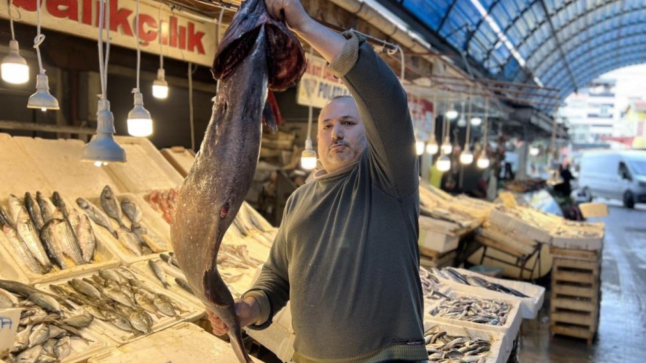 Foto - Okyanus balığı 'Atlas'ı Mersin'de yakaladılar