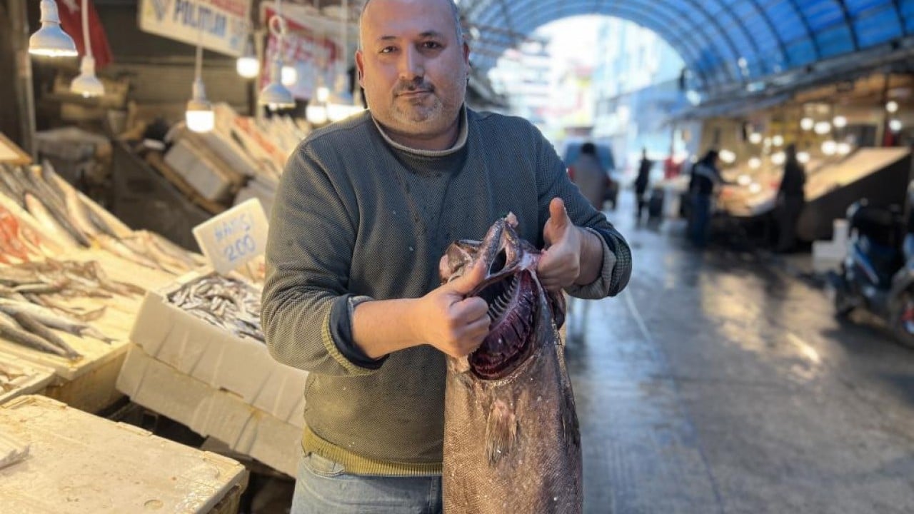 Okyanus balığı 'Atlas'ı Mersin'de yakaladılar