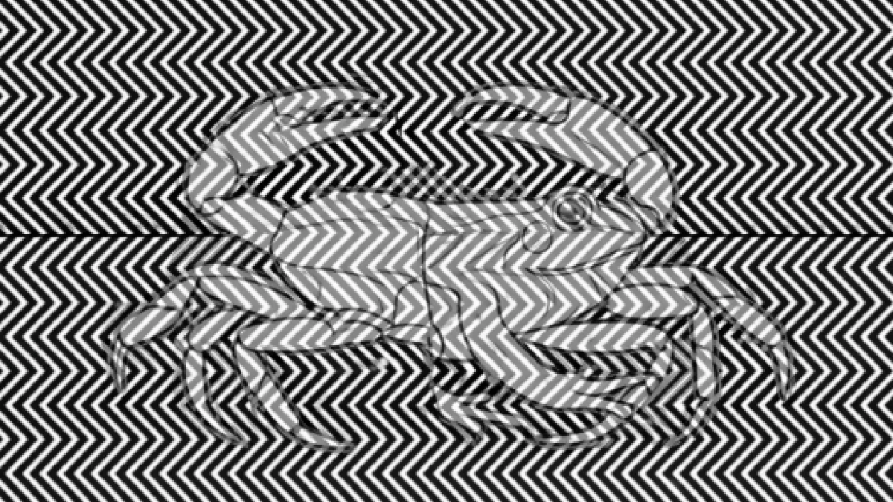 Olay kişilik testi: Resimde ilk kurbağa mı yengeç mi gördün? 