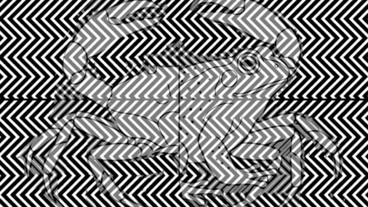 Foto - Olay kişilik testi: Resimde ilk kurbağa mı yengeç mi gördün? 