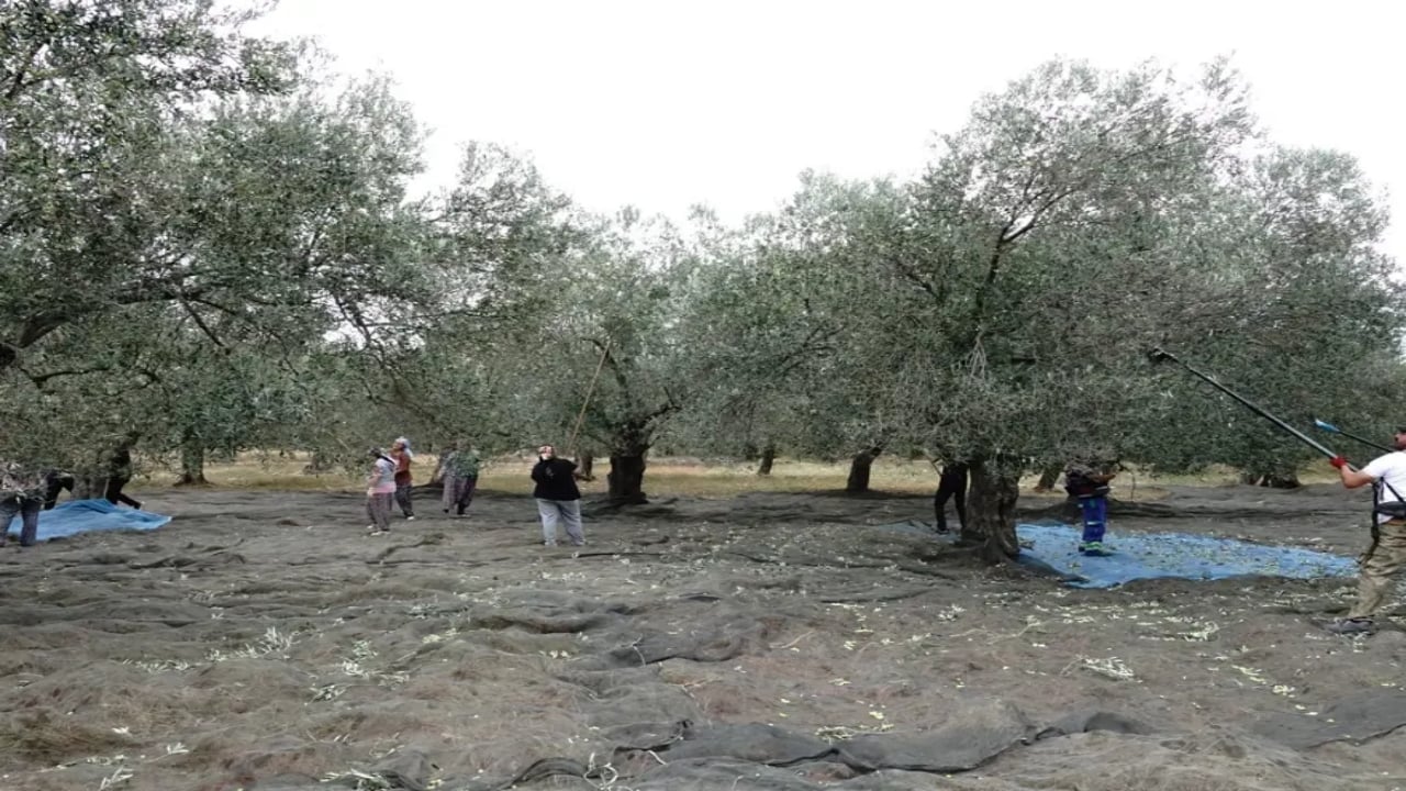 Foto - Olmayacak şey oldu! Bir zamanlar fakir yemeğiydi, şimdi komandolar başında nöbet tutuyor