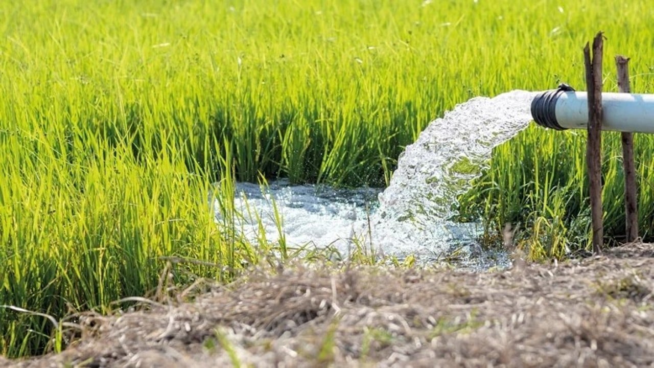 Foto - Olmayan suyu israf ediyoruz