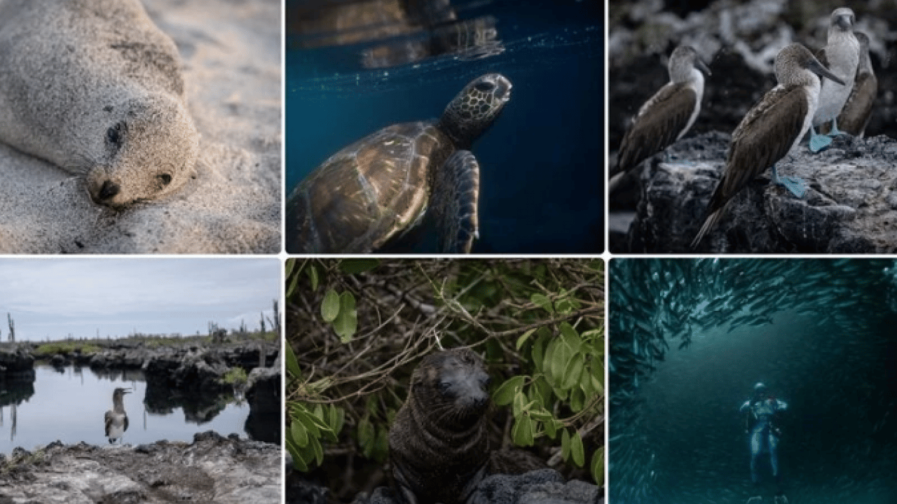 Foto - Ölmeden önce ziyaret edilmesi gereken 30 yer! Türkiye’den iki tarihi nokta listede