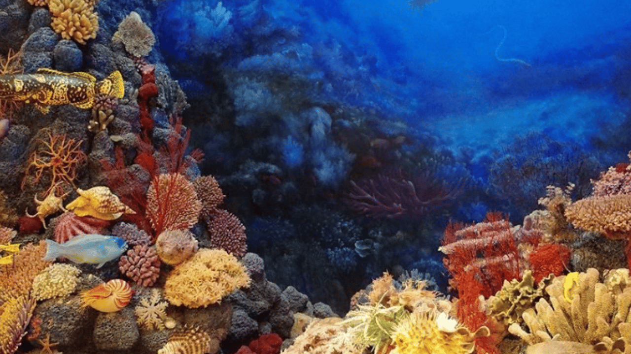 Foto - Ölmeden önce ziyaret edilmesi gereken 30 yer! Türkiye’den iki tarihi nokta listede