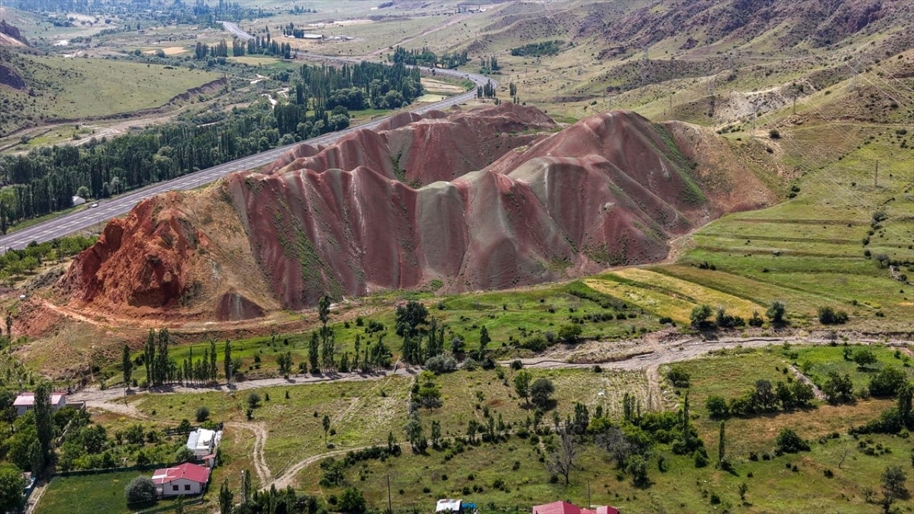 Foto - Oltu’nun simgesine yaz geldi Yeşilin içinde büyüleyici renk cümbüşü