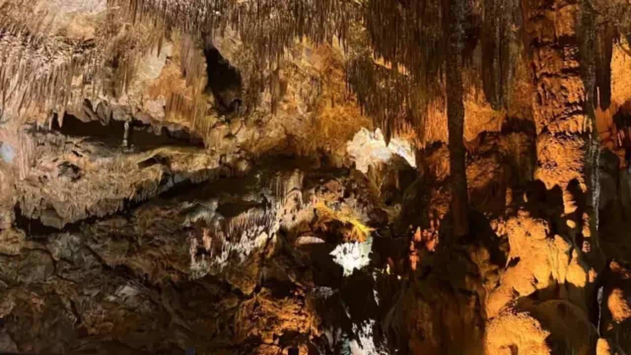 Foto - Ölüm hariç her derde deva biiznillah! 15 gün kalan şifa buluyor