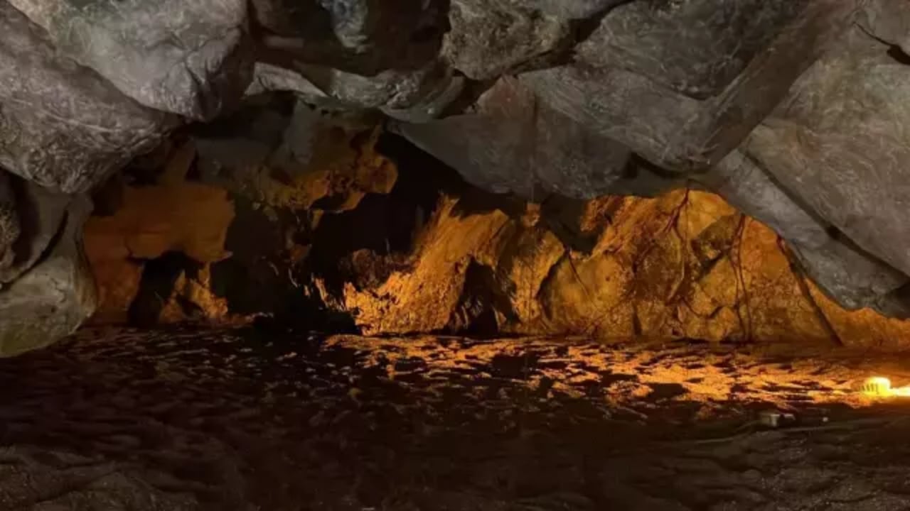 Foto - Ölüm hariç her derde deva biiznillah! 15 gün kalan şifa buluyor