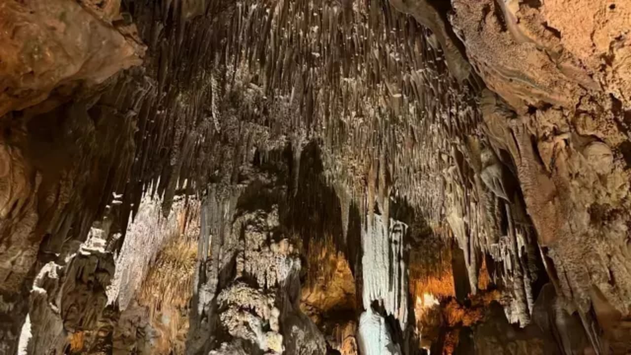 Foto - Ölüm hariç her derde deva biiznillah! 15 gün kalan şifa buluyor
