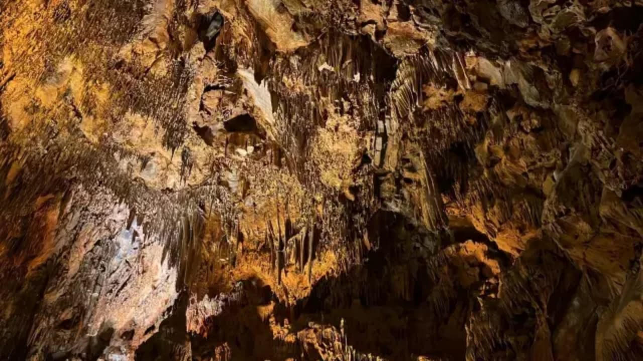 Foto - Ölüm hariç her derde deva biiznillah! 15 gün kalan şifa buluyor
