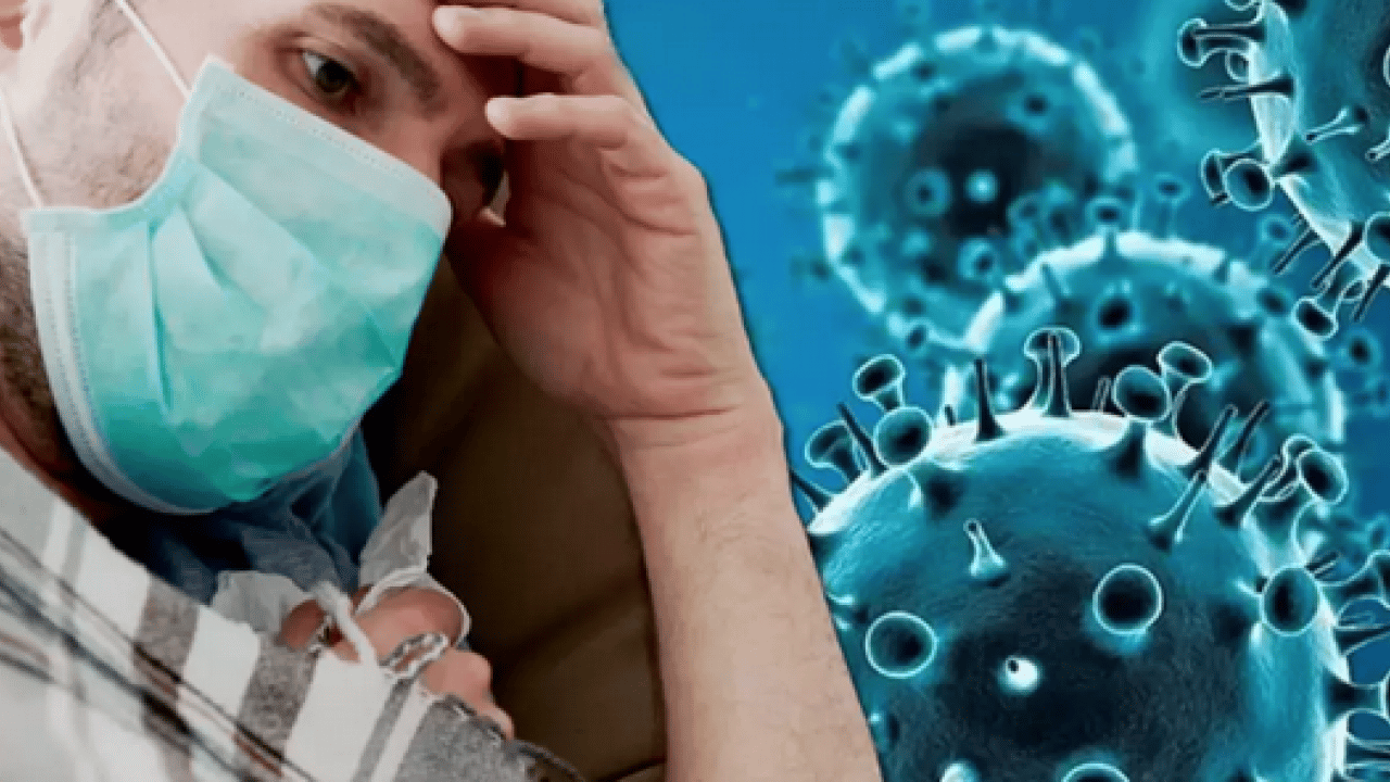 Foto - Ölümcül virüs durmuyor: Profesör açıkladı: 'Nipah virüsü ülkemiz için risk oluşturmuyor'