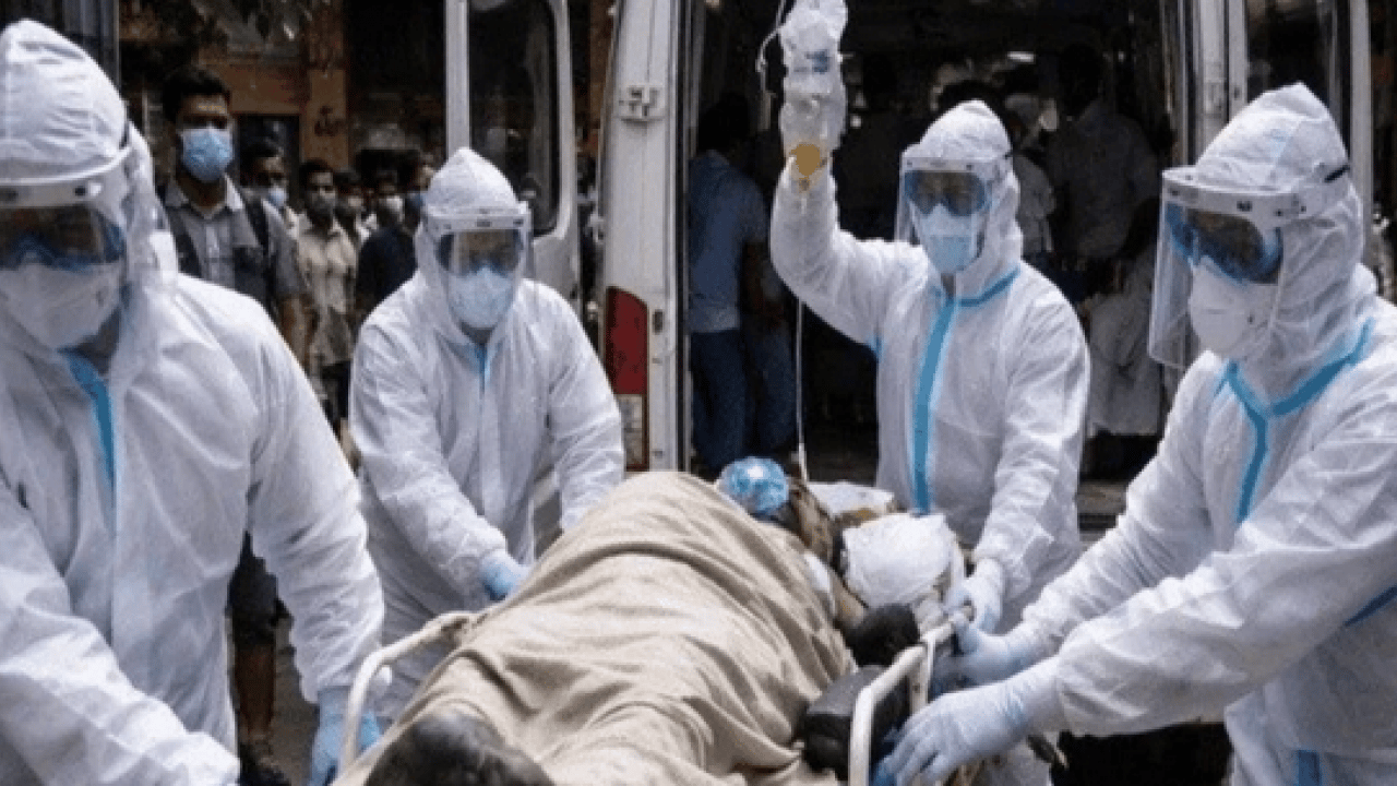 Foto - Ölümcül virüs durmuyor: Profesör açıkladı: 'Nipah virüsü ülkemiz için risk oluşturmuyor'