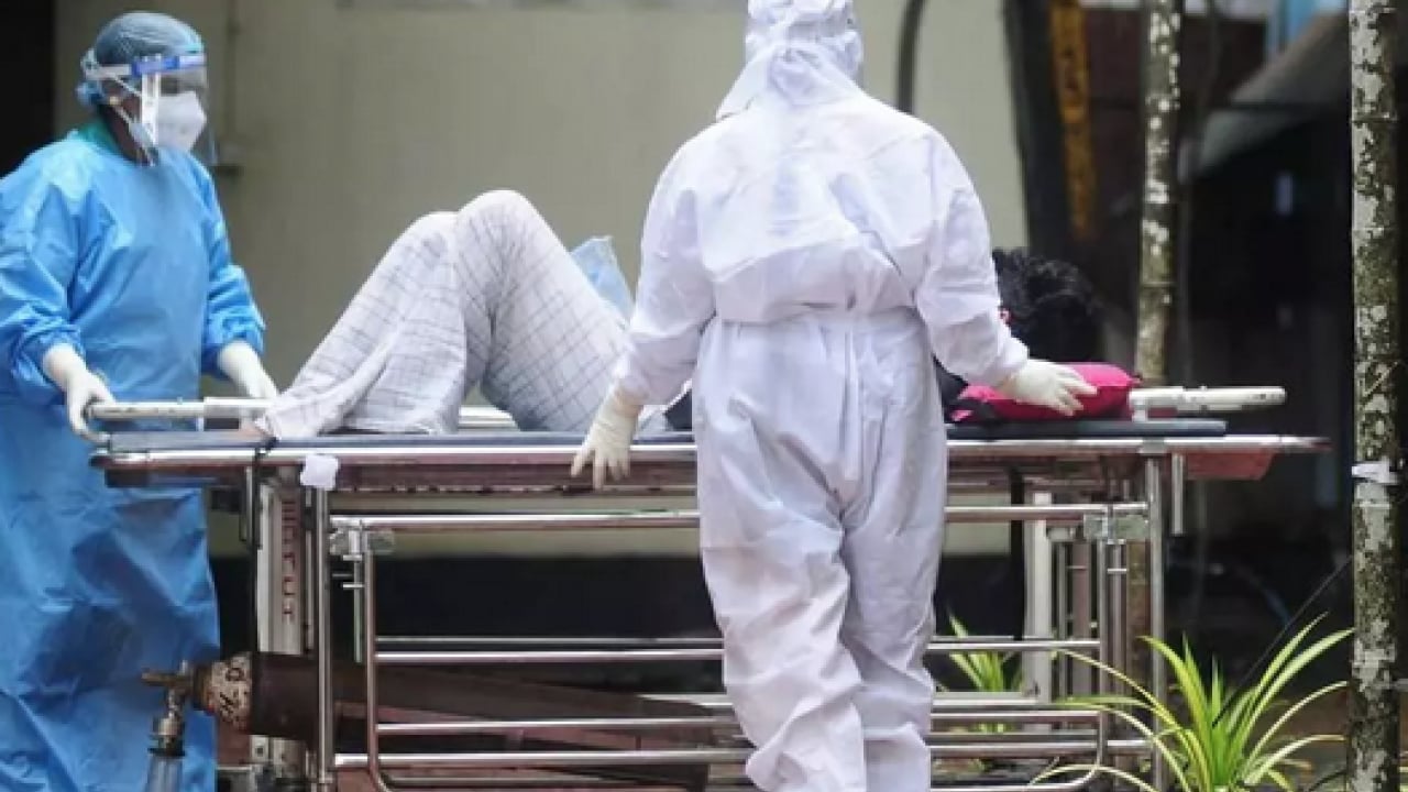 Foto - Ölümcül virüs durmuyor: Profesör açıkladı: 'Nipah virüsü ülkemiz için risk oluşturmuyor'