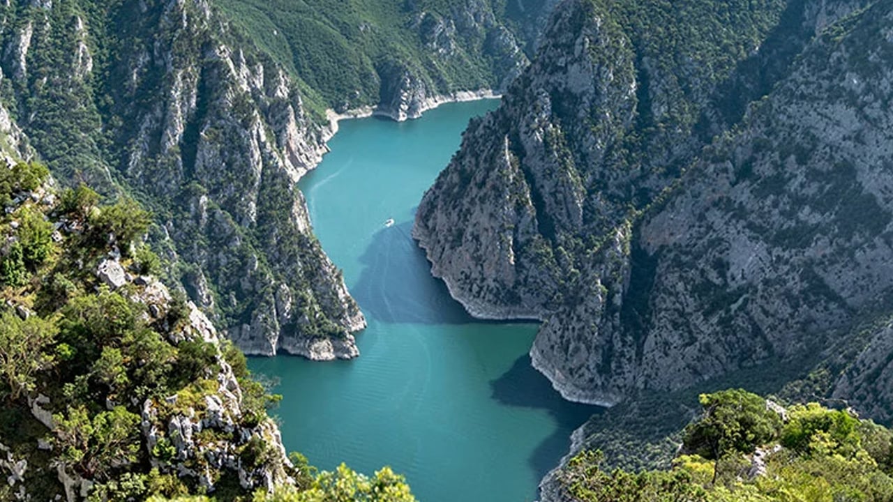 Foto - Ölümcül virüs taşıyan çakal! Samsun'da gündem altüst oldu, alarm verildi: Herkes orada aramaya yeniden başladı