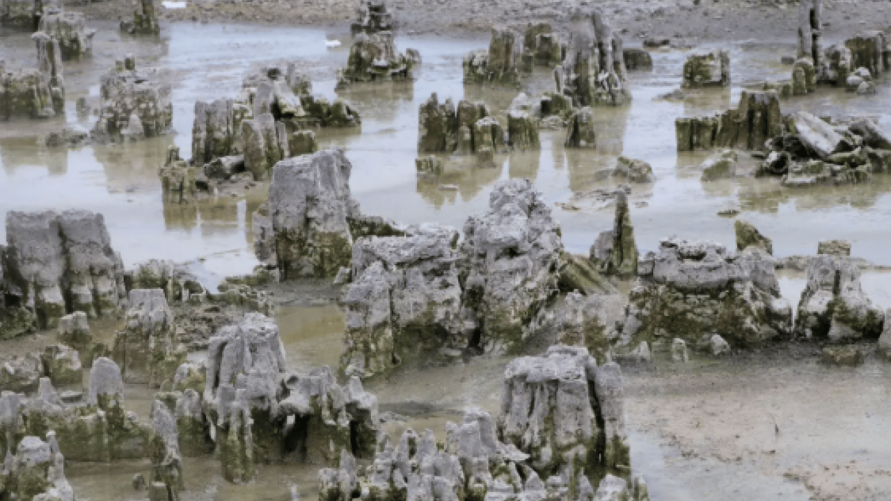 Foto - Ön elemeler geçildi: Van Gölü adım adım Guinness rekorlar kitabına! 