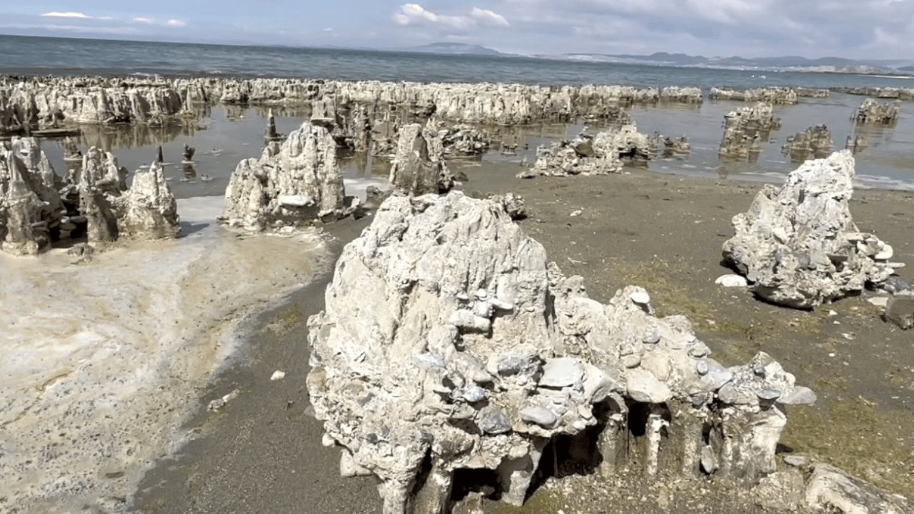 Ön elemeler geçildi: Van Gölü adım adım Guinness rekorlar kitabına! 