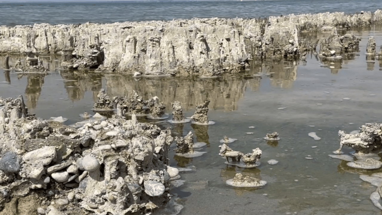 Foto - Ön elemeler geçildi: Van Gölü adım adım Guinness rekorlar kitabına! 