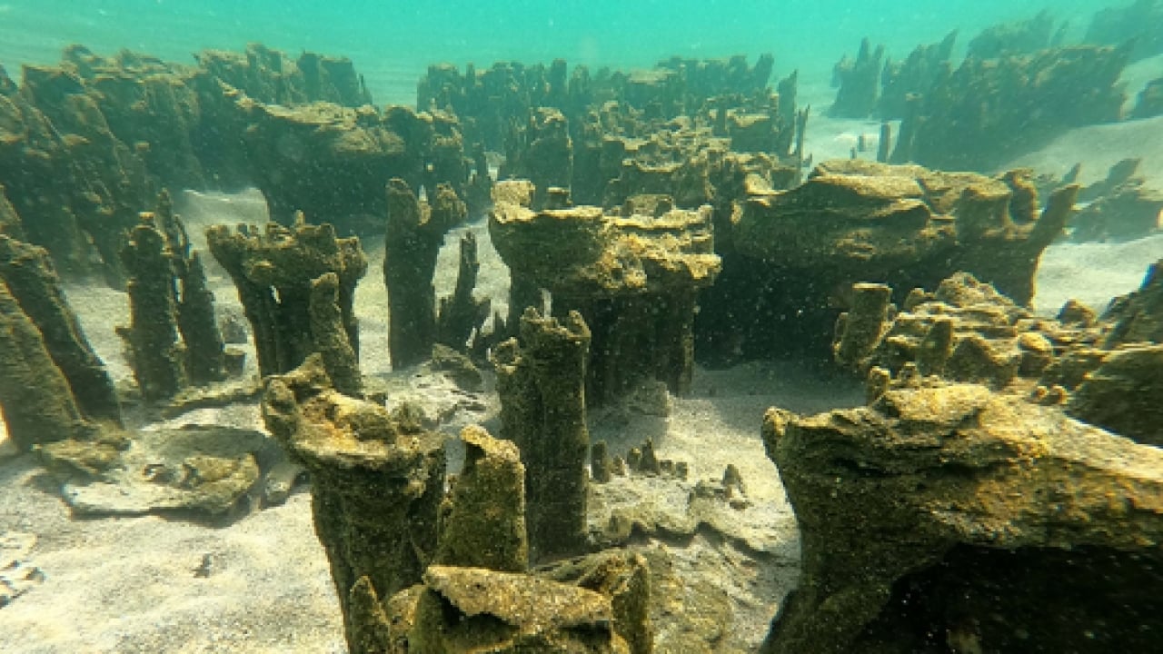 Foto - Ön elemeler geçildi: Van Gölü adım adım Guinness rekorlar kitabına! 