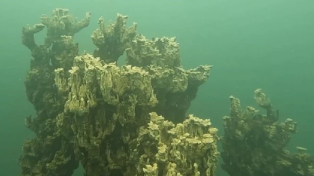 Foto - Ön elemeler geçildi: Van Gölü adım adım Guinness rekorlar kitabına! 