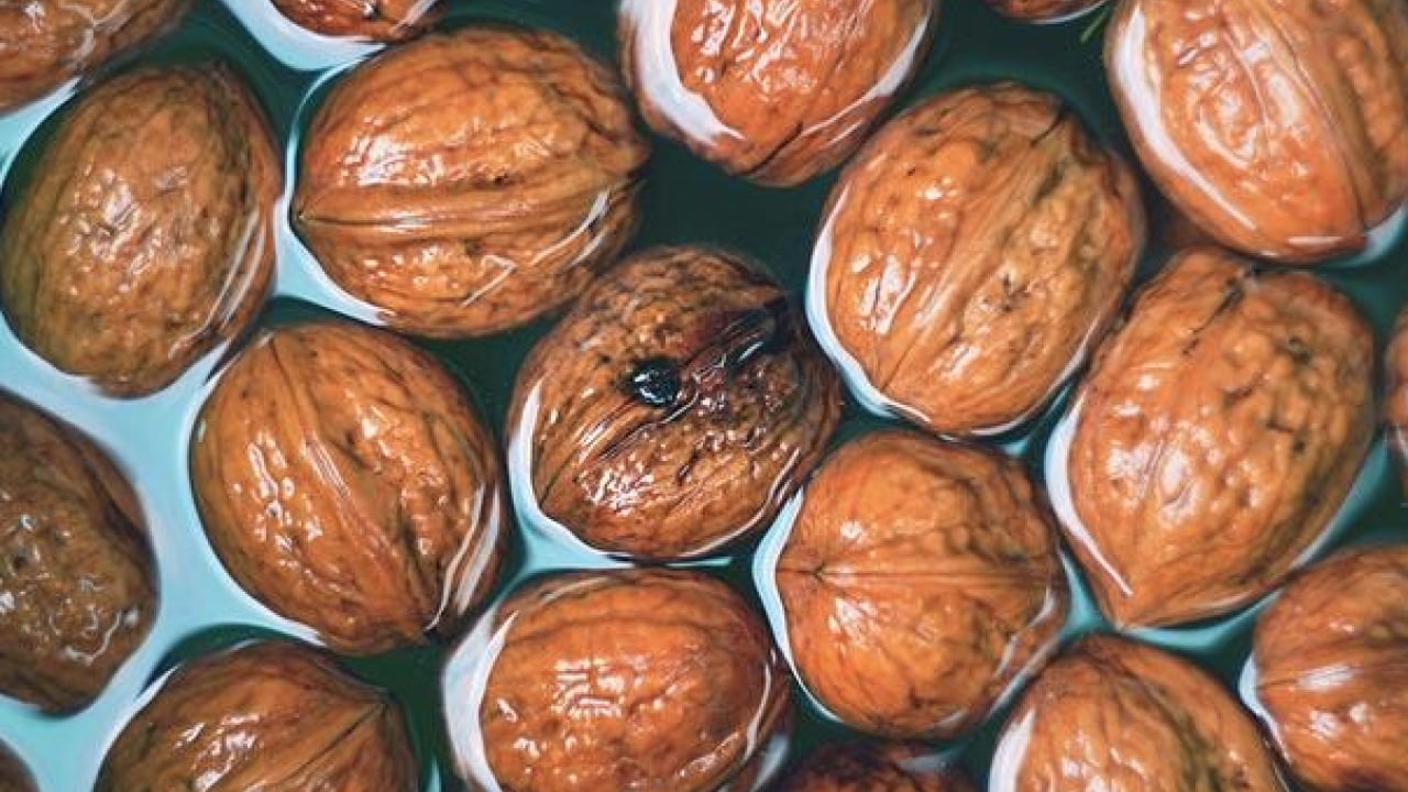 Foto - Önce kendisi sonra ise suyunu... Ceviz suyunun faydaları sizlere şifa kaynağı olacak!