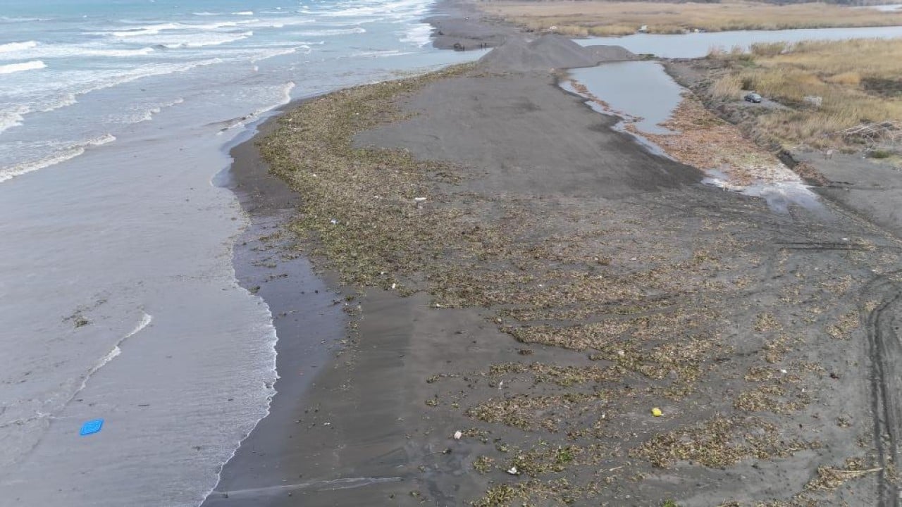 Foto - Önce nehri sonra da denizi yeşile bürüdü!