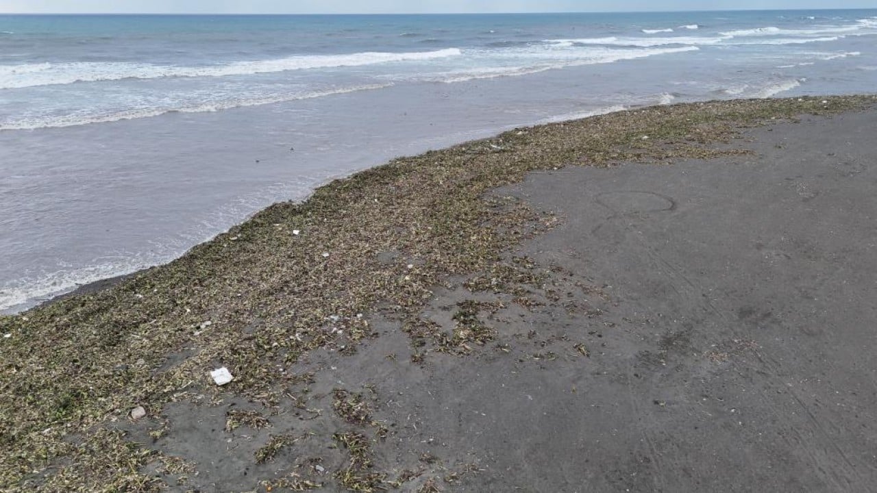 Foto - Önce nehri sonra da denizi yeşile bürüdü!